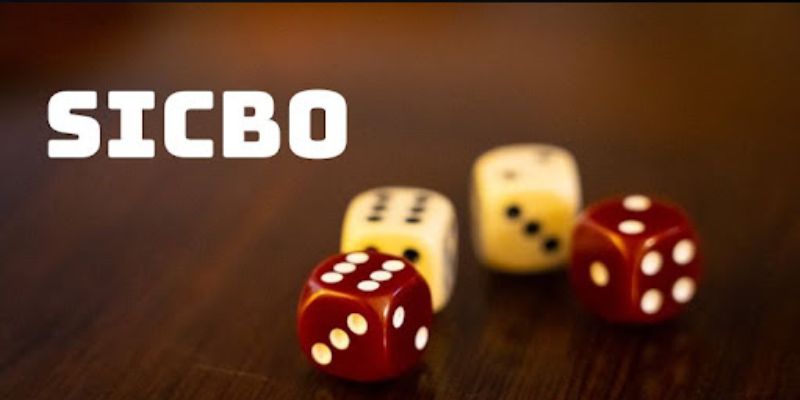 Chiến Thuật Chơi Sicbo Hiệu Quả Nhất